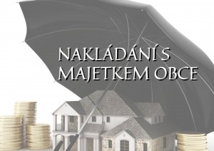 Mini Nakl&aacute;d&aacute;n&iacute; s majetkem obce.jpg