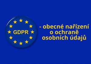 Mini GDPR.jpg