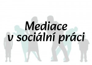 Mini Mediace (1).jpg