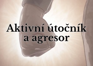 Mini Aktivn&iacute; &uacute;točn&iacute;k a agresor.jpg