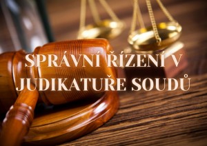 mINI SPR&Aacute;VN&Iacute; Ř&Iacute;ZEN&Iacute; V JUDIKATUŘE SOUDŮ.jpg