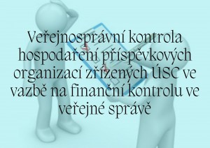 Mini Veřejnospr&aacute;vn&iacute; kontrola.jpg