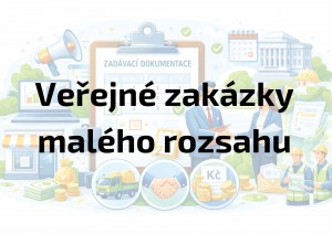 _Mini  Veřejn&eacute; zak&aacute;zky mal&eacute;ho rozsahu X.jpg